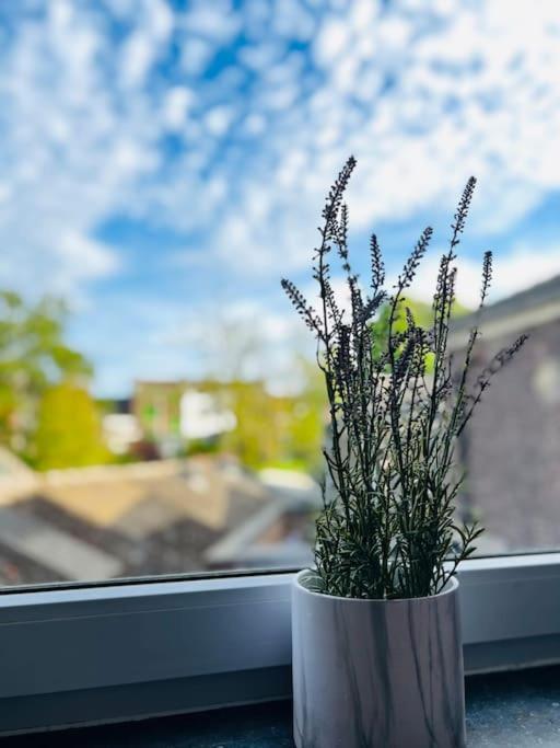 Charmant Petit Appartement. Lieja Exterior foto