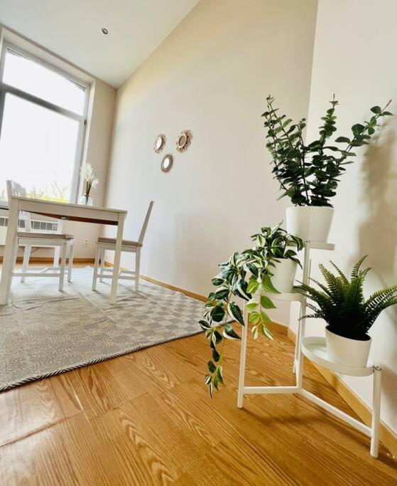 Charmant Petit Appartement. Lieja Exterior foto